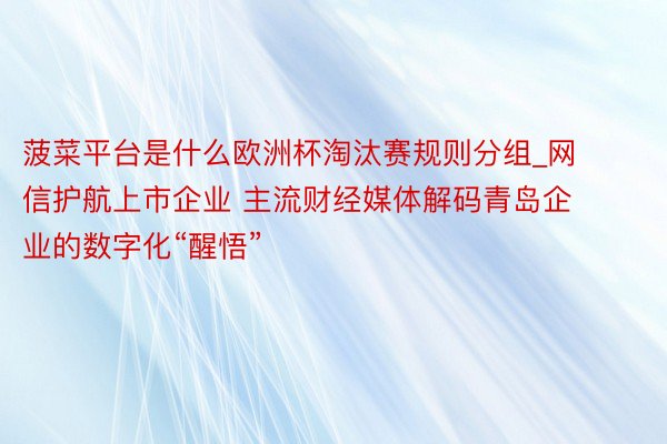 菠菜平台是什么欧洲杯淘汰赛规则分组_网信护航上市企业 主流财经媒体解码青岛企业的数字化“醒悟”