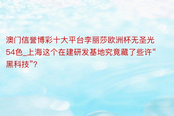 澳门信誉博彩十大平台李丽莎欧洲杯无圣光54色_上海这个在建研发基地究竟藏了些许“黑科技”？